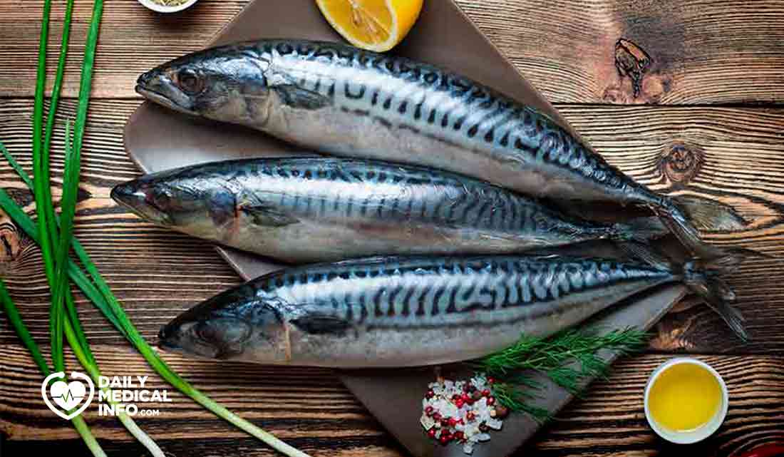 Mackerel fish
