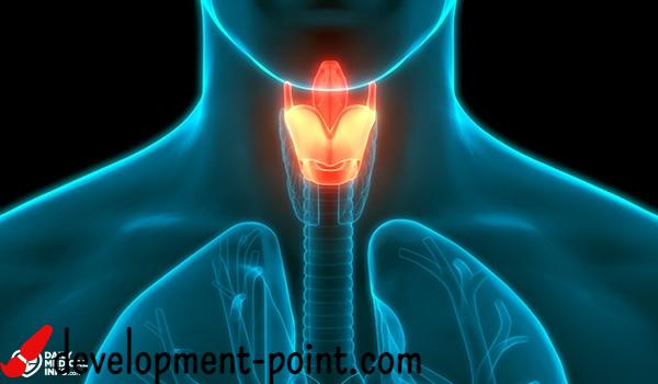 throat
