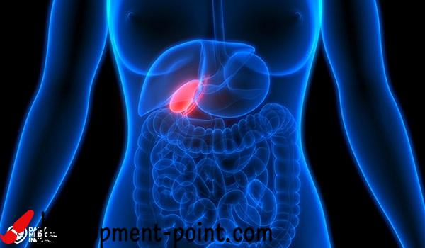 Gallbladder