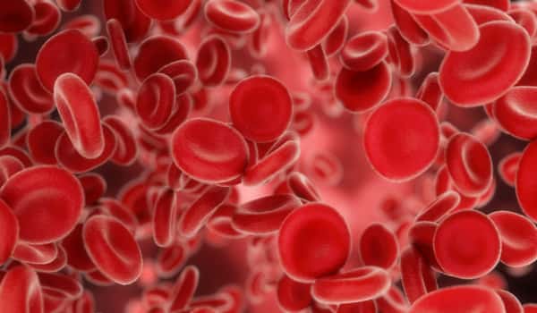 Hemoglobin in red blood cells