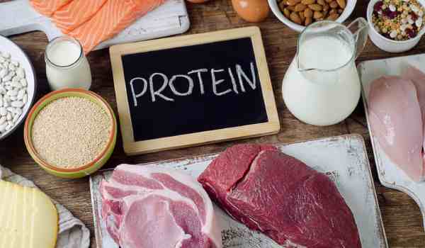The best protein for weight gain