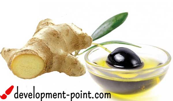 Ginger and olive oil for rumen