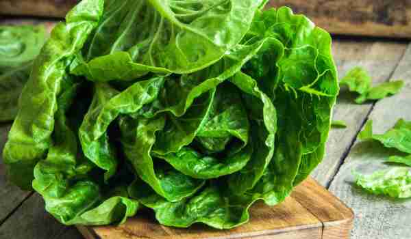 The benefits of lettuce for pregnant women
