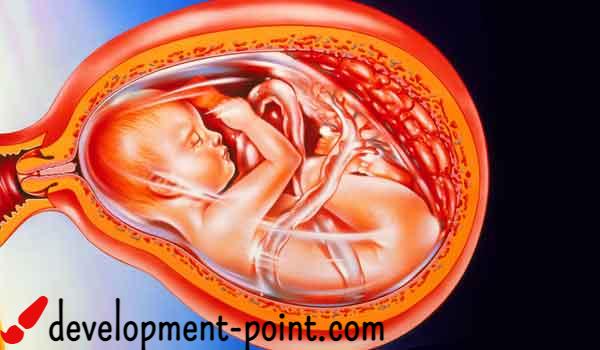 Diagnosis of genetic diseases in the fetus during pregnancy