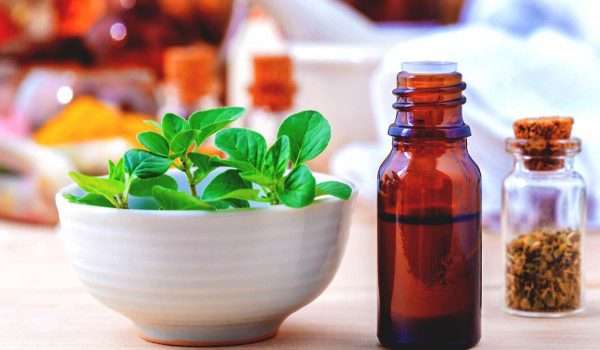 The harm of marjoram for pregnant women