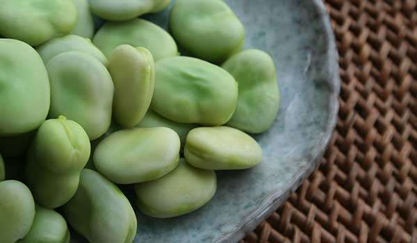 What-are-the-benefits-of-green-beans-for-pregnant?