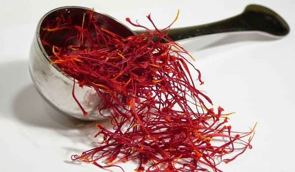 Benefits of saffron for pregnant women