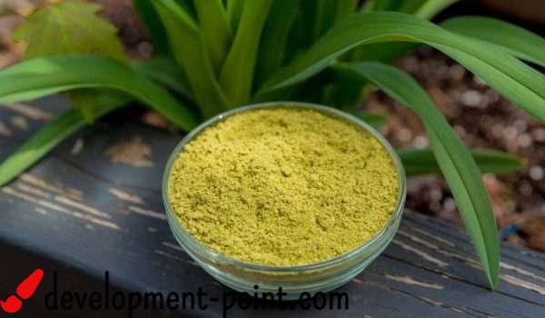 Henna for pregnant women – development-point.com