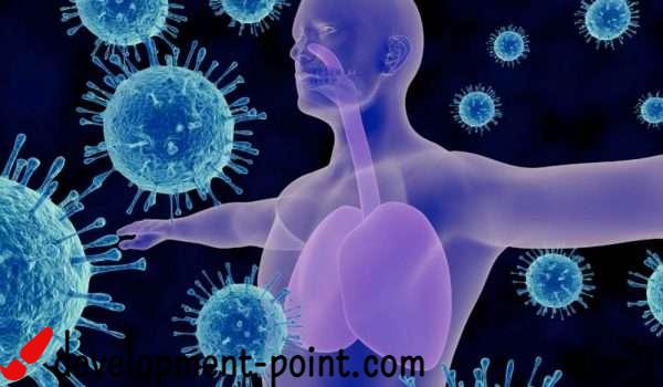 How does the immune system work