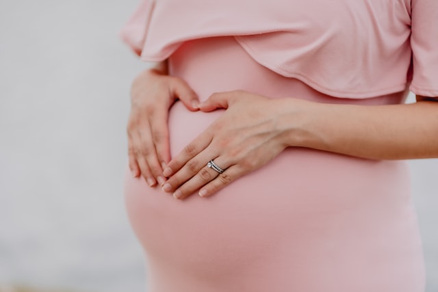Stages of formation of twin fetuses