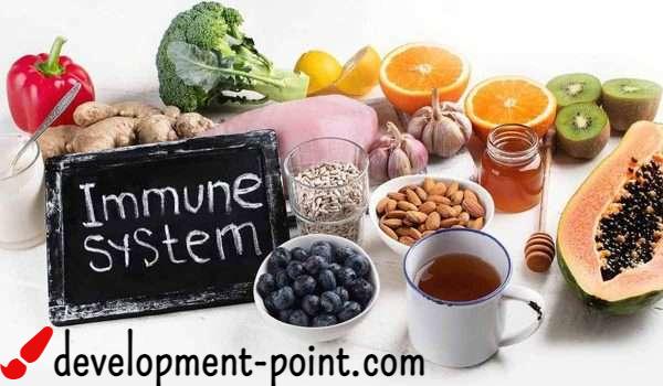 Strengthening-the-immune-system