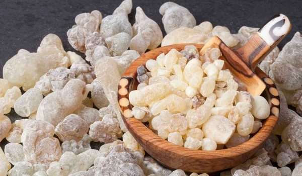 Benefits of bitter gum for slimming