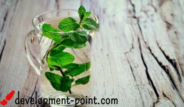 Benefits of boiled mint for rumen and burning fat