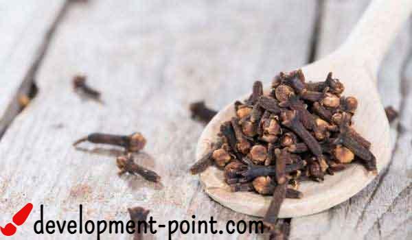 Benefits of clove oil for weight loss – development-point.com