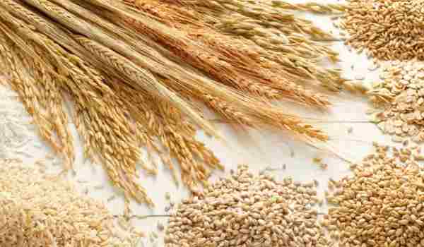Benefits of whole wheat diet