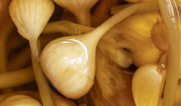 Natural garlic vinegar for slimming