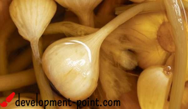 Natural Garlic Vinegar for Slimming – development-point.com